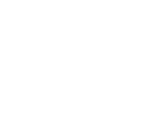 Icono seguro disponible 4