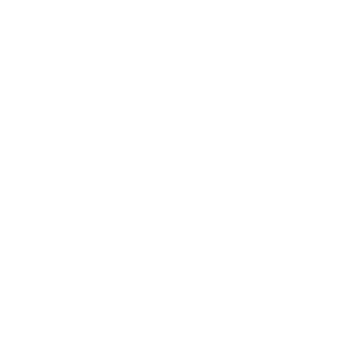 Icono seguro disponible 1